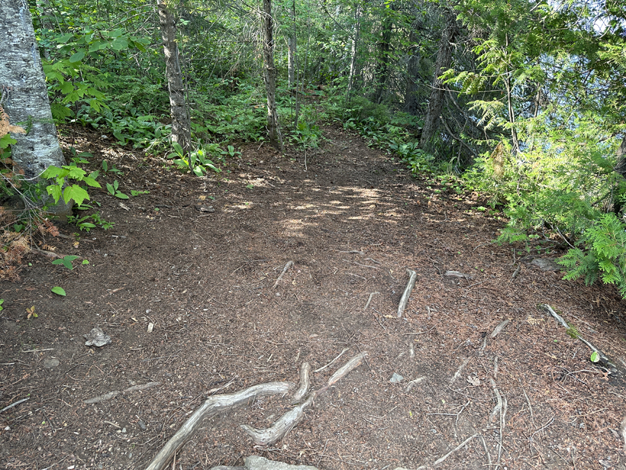 Alton Lake Campsite 6