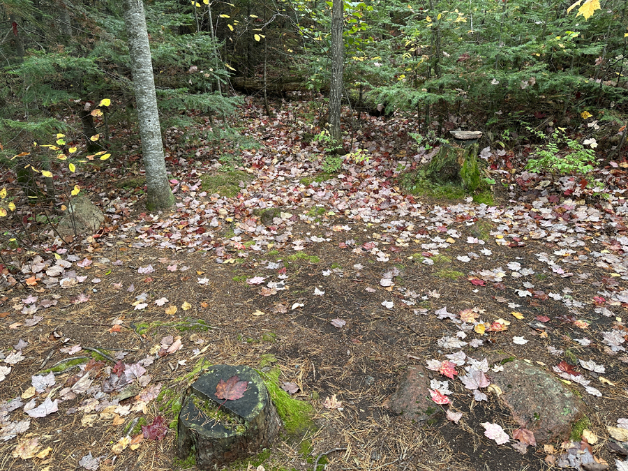 Beth Lake Campsite 5