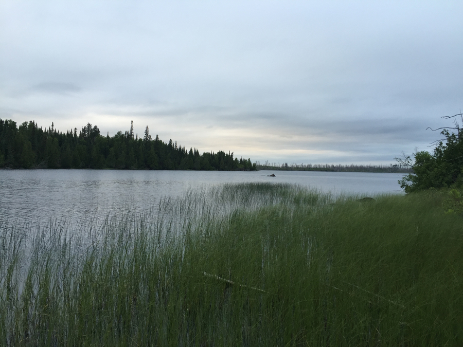 Bog Lake 3