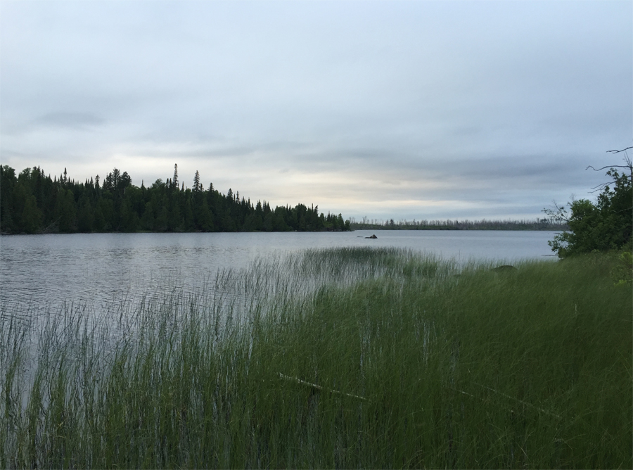 BWCA Entry Point 67 to Bog Lake Portage 2