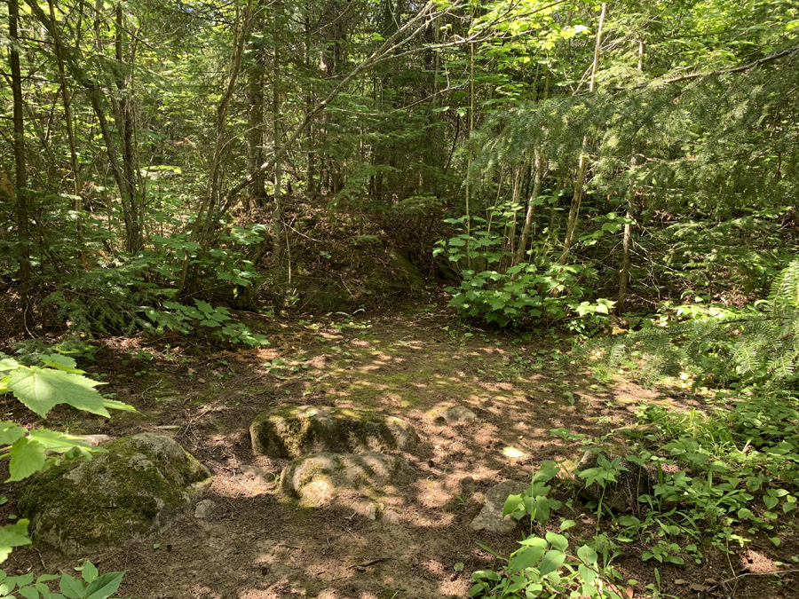 Brule Lake Campsite 6