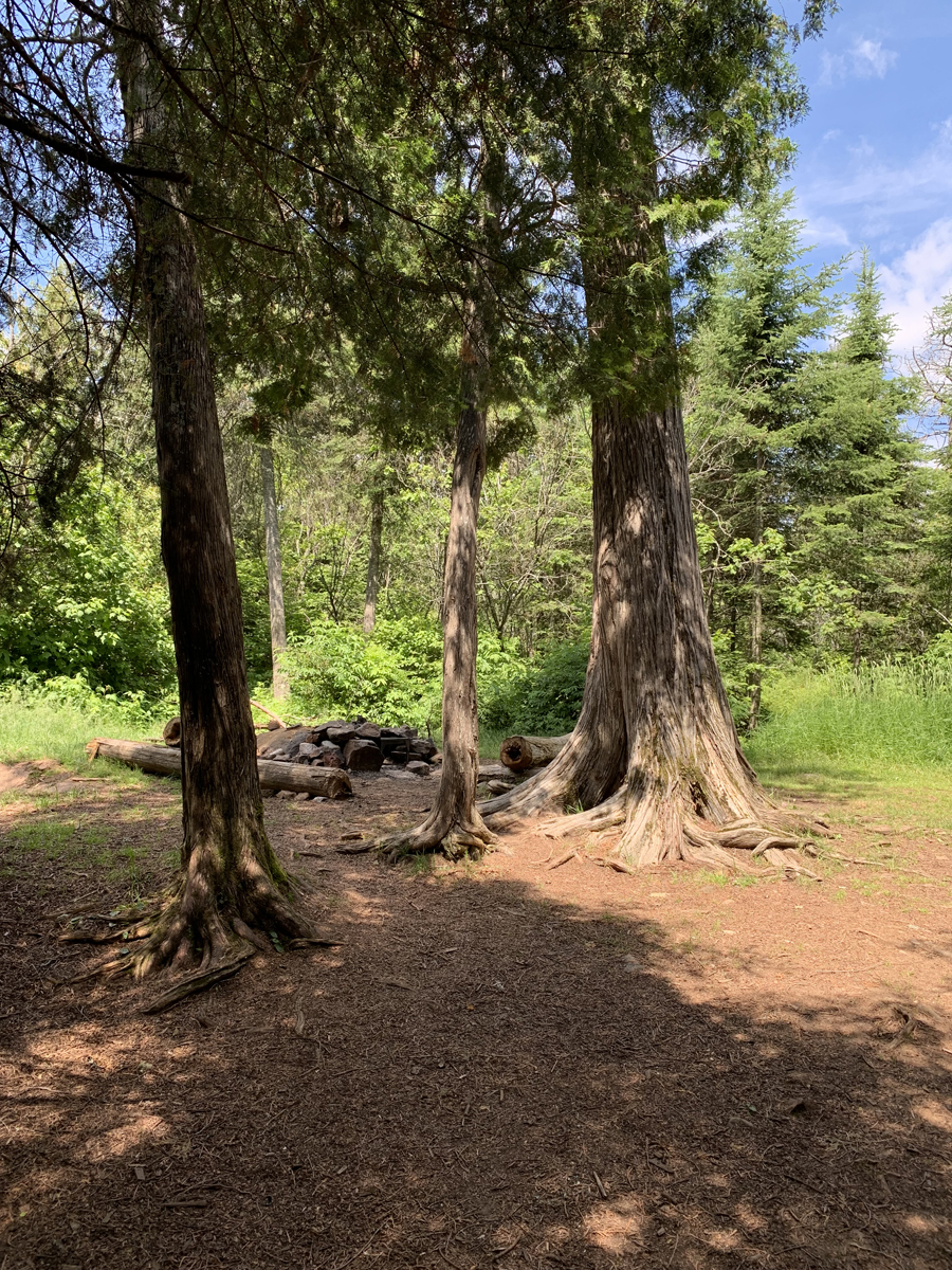 Brule Lake Campsite 3