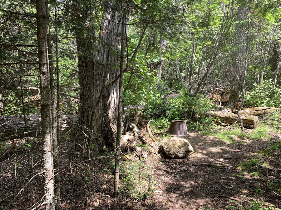 Brule Lake Campsite 9