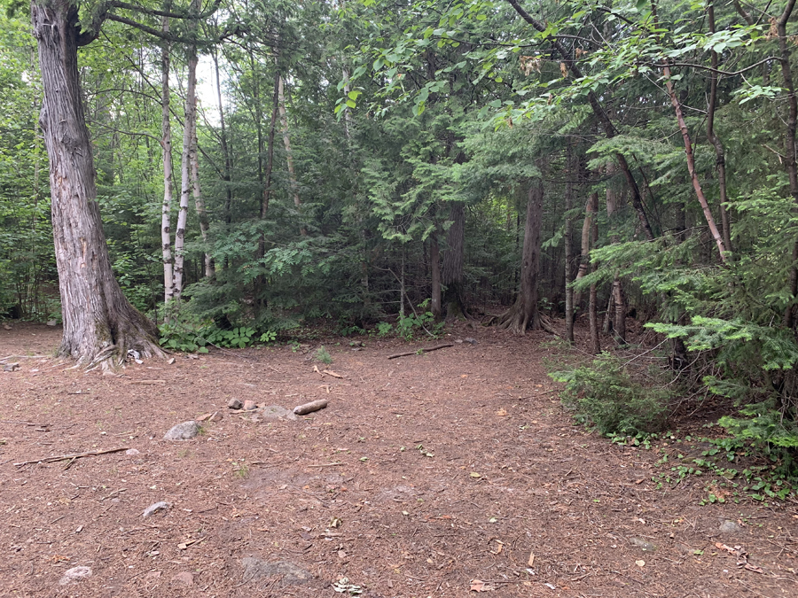 Brule Lake Campsite 4