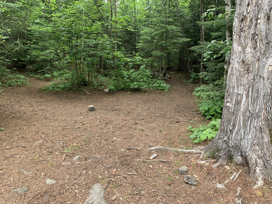 Brule Lake Campsite 5