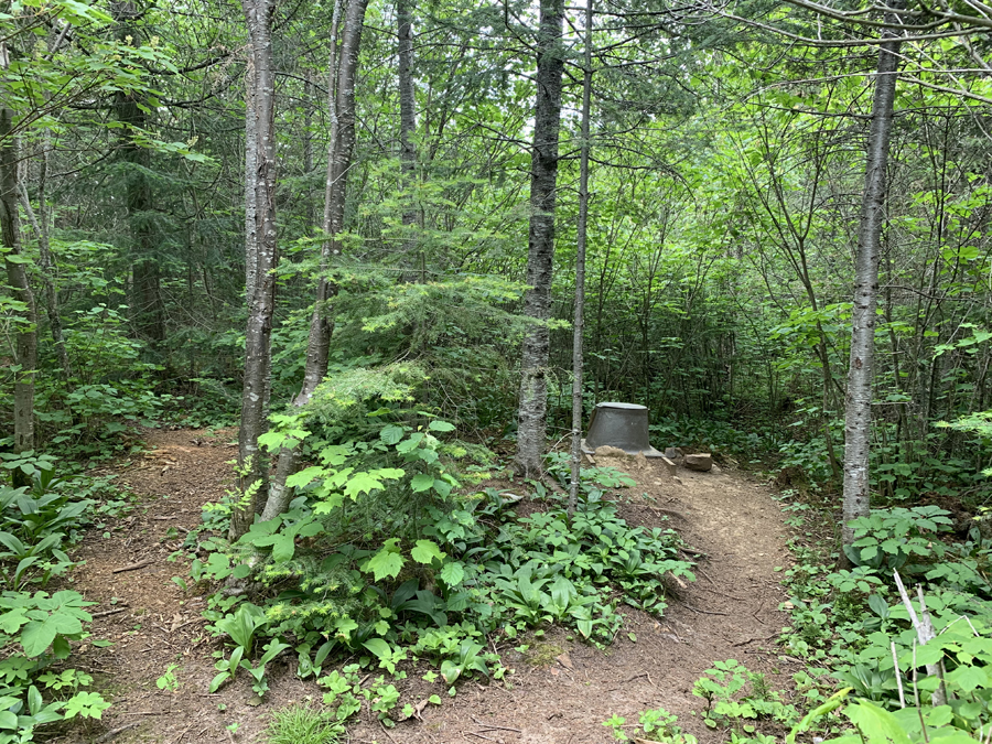 Brule Lake Campsite 6