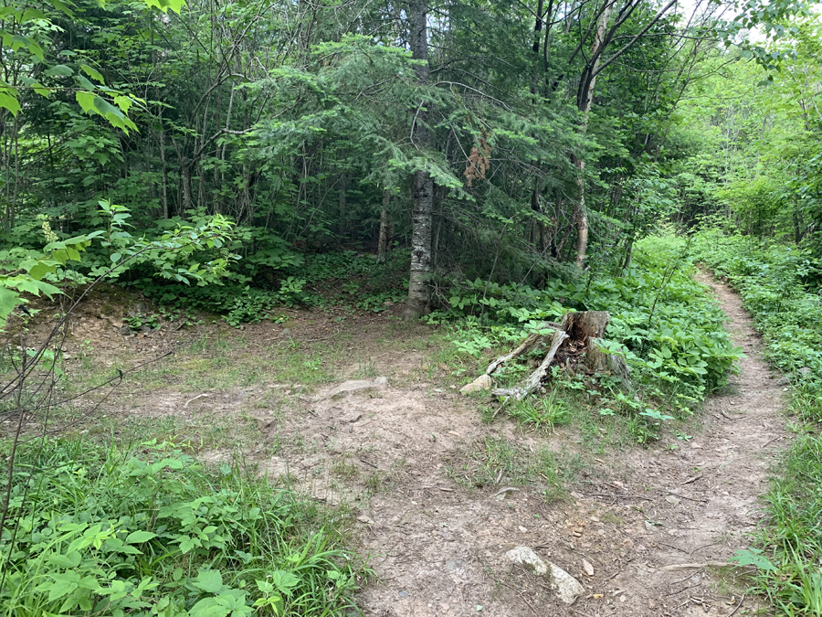 Brule Lake Campsite 6