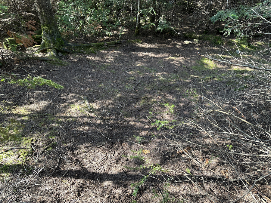 Brule Lake Campsite 6