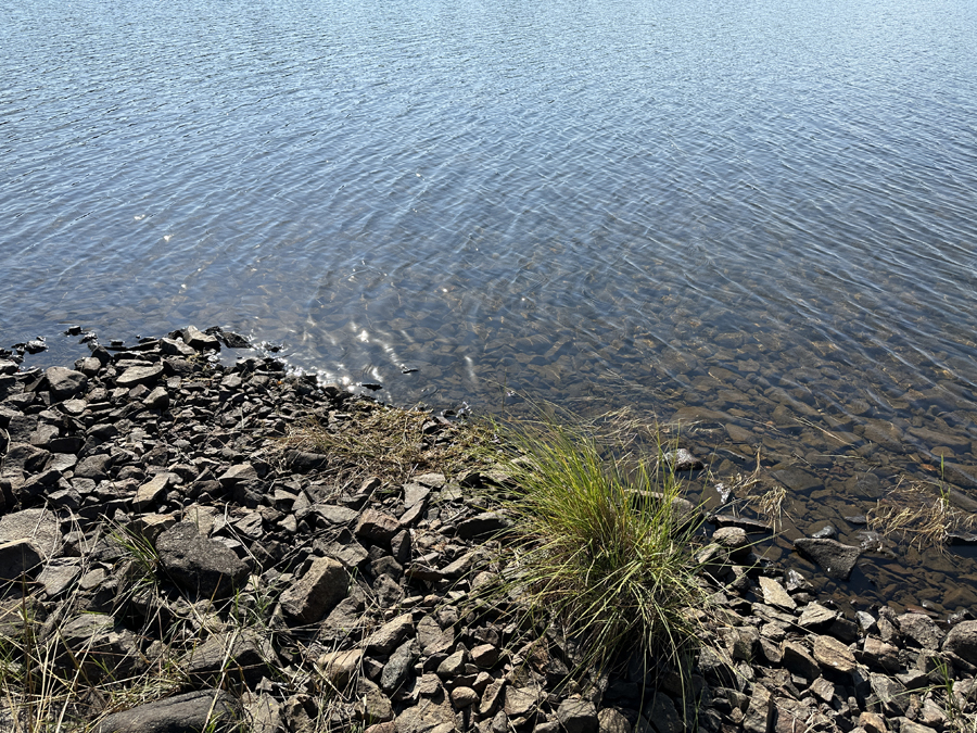 Brule Lake Campsite 5a