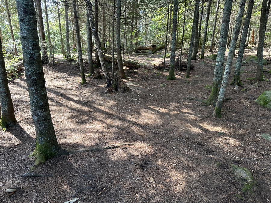Brule Lake Campsite 6
