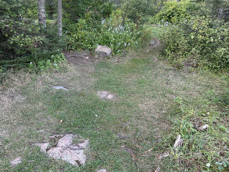 Brule Lake Campsite 5