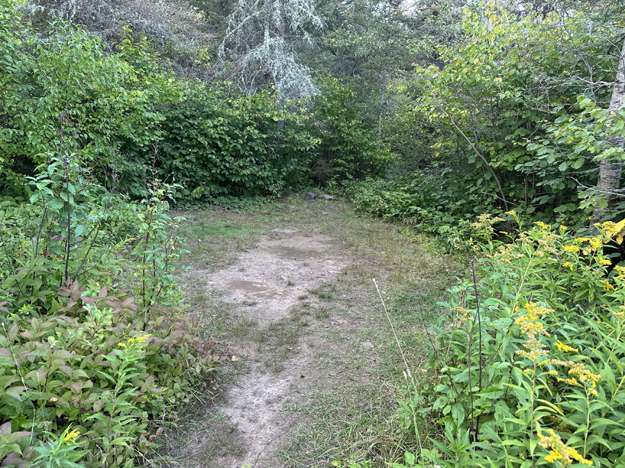 Brule Lake Campsite 7
