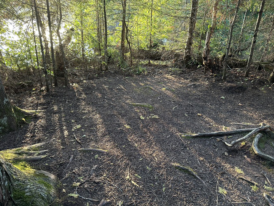 Brule Lake Campsite 7