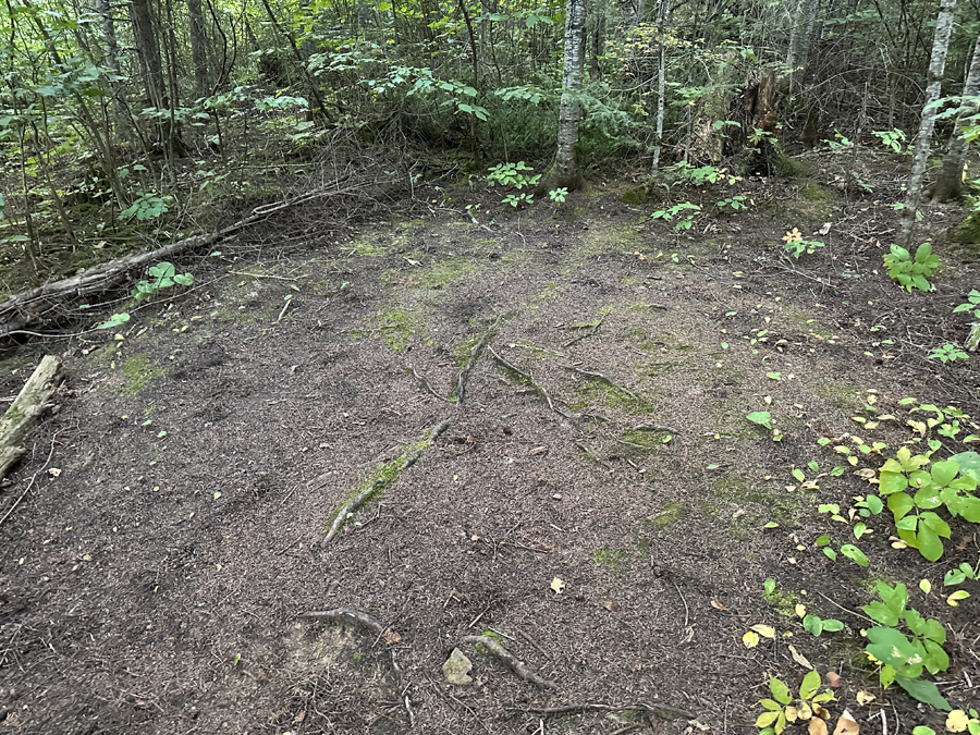 Brule Lake Campsite 6