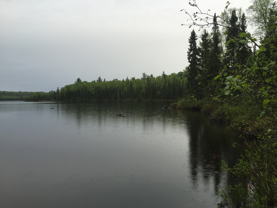 Burnt Lake to Smoke Lake Portage 5