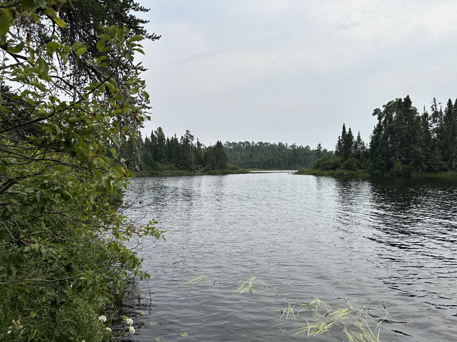 Burnt Lake Campsite 1