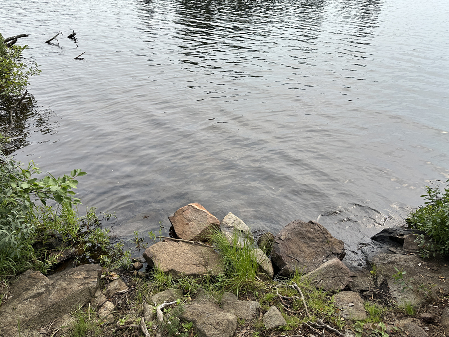 Burnt Lake Campsite 1