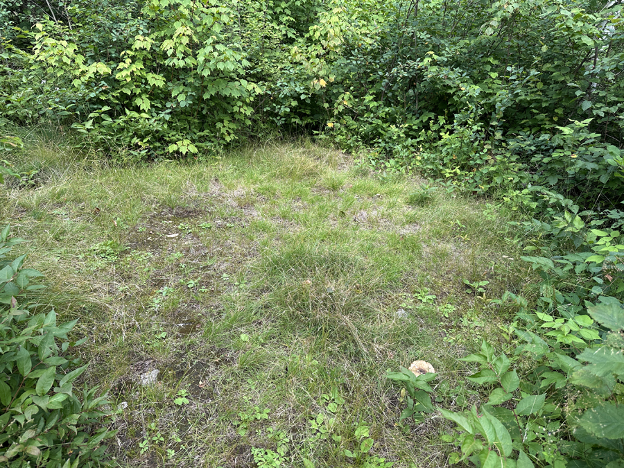 Burnt Lake Campsite 1