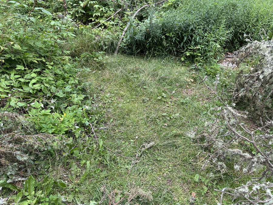 Burnt Lake Campsite 2