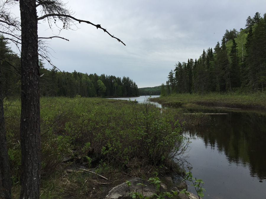 Cam Lake to Gasket Lake Portage 2