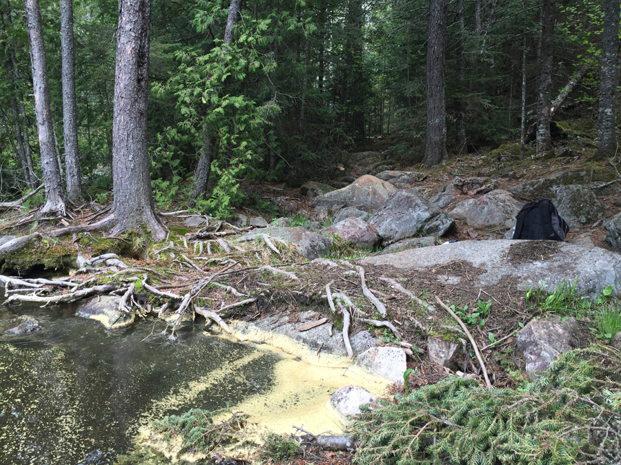 Brule Lake to Cam Lake Portage 3