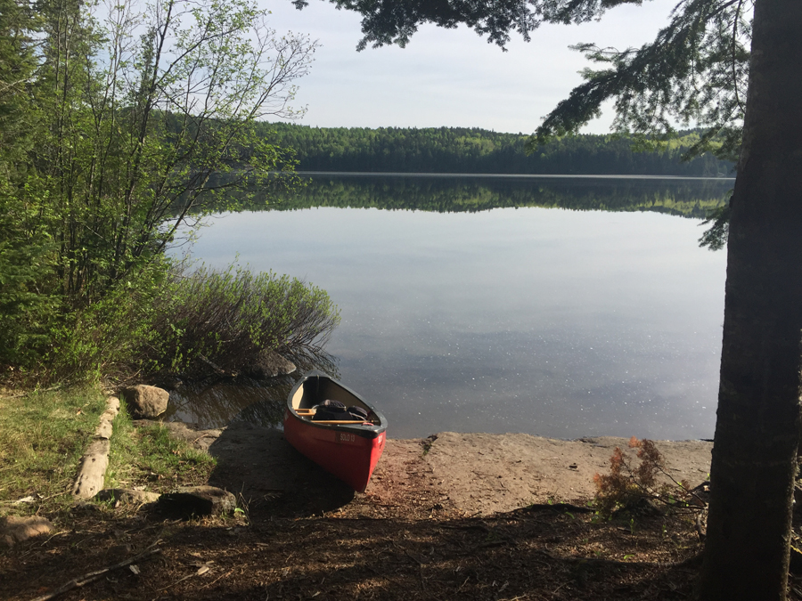 Cherokee Lake Campsite 1