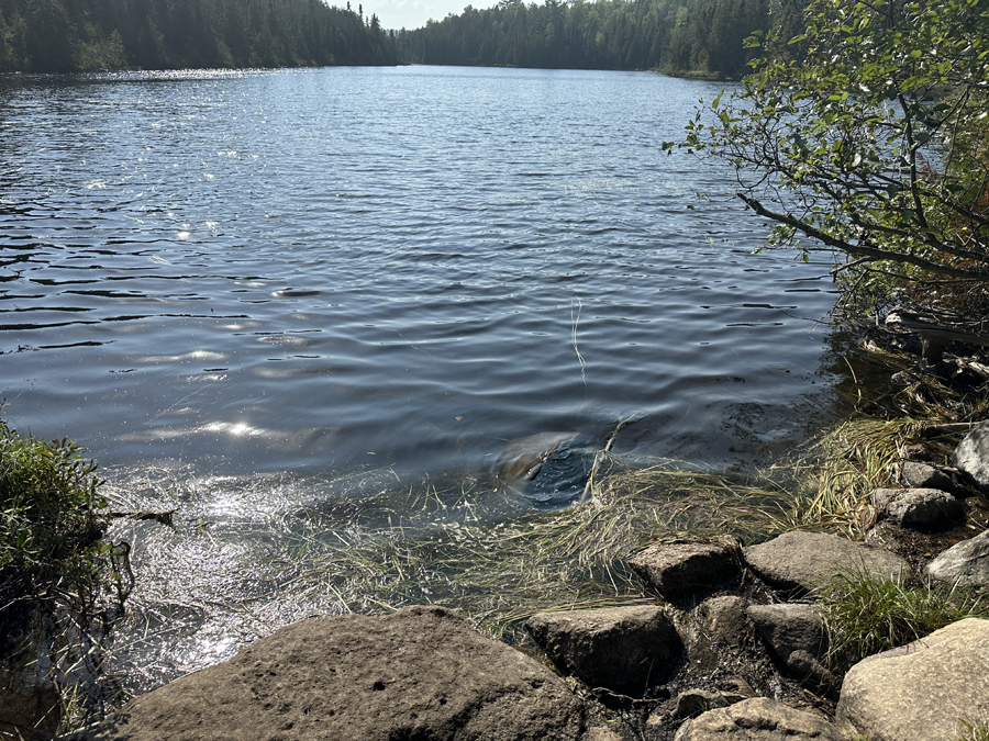 Cliff Lake to North Cone Lake Portage 2