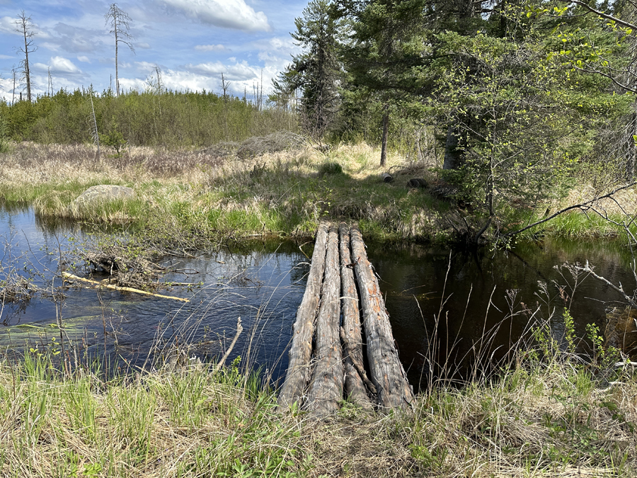 Diana Creek 1