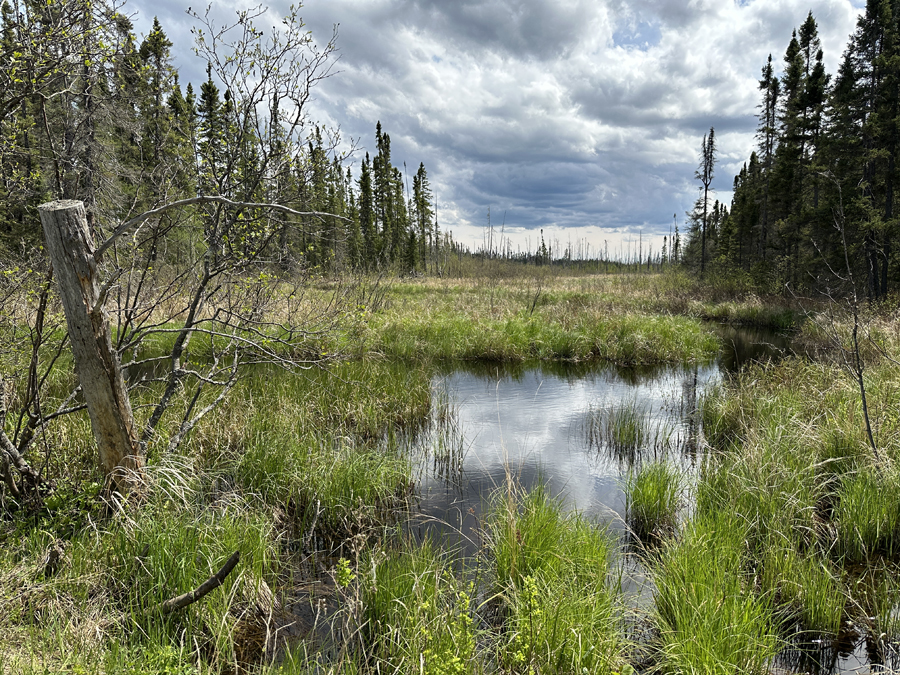 Diana Creek 2