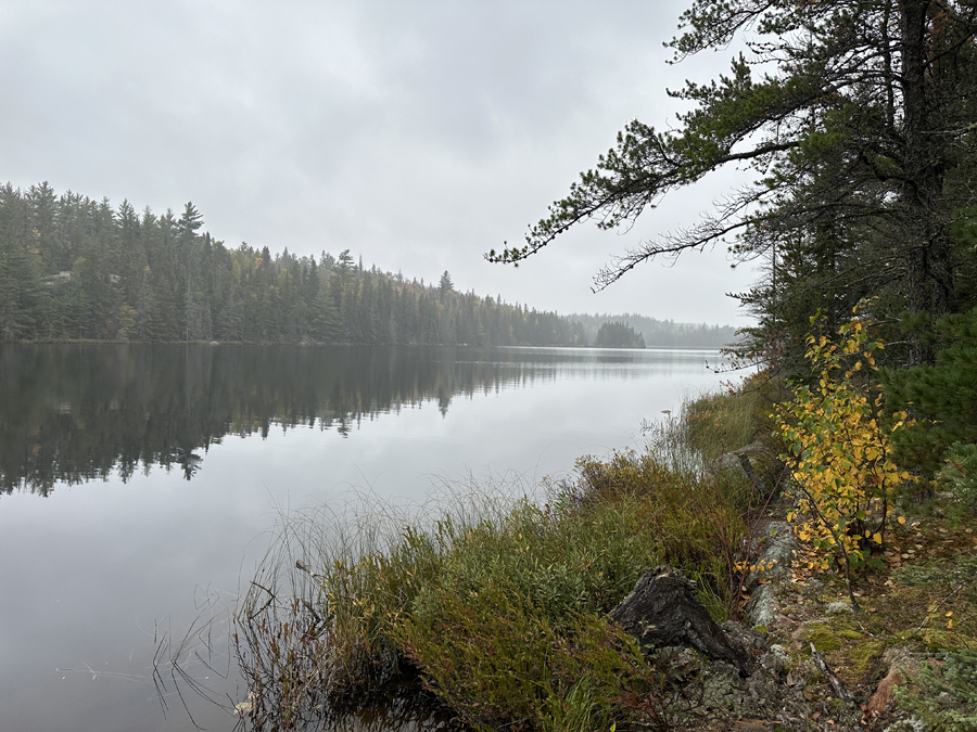 Ella Lake Campsite 8