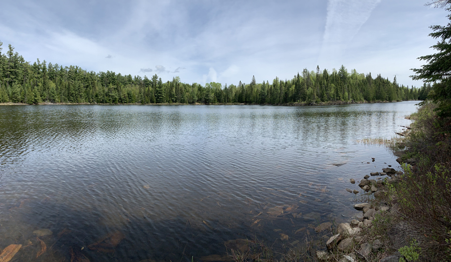 Fishhook Lake Campsite 8