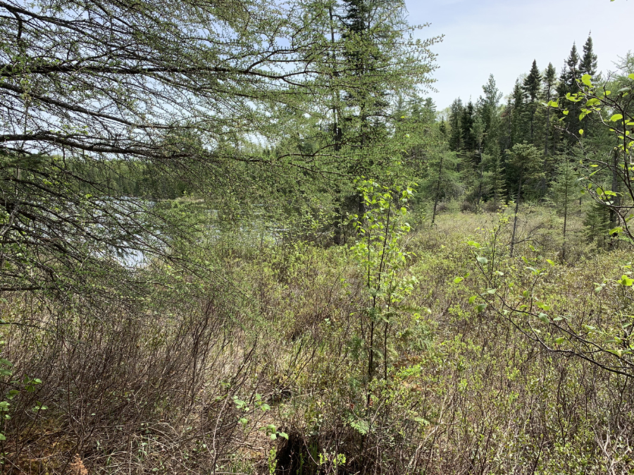 Fishhook Lake Campsite 3