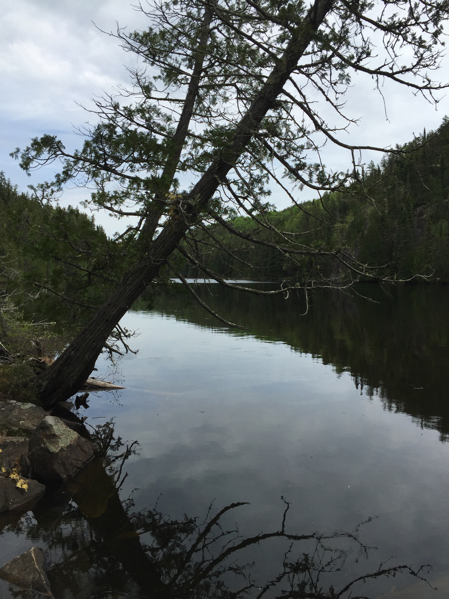 Gasket Lake from Cam Lake portage BWCA