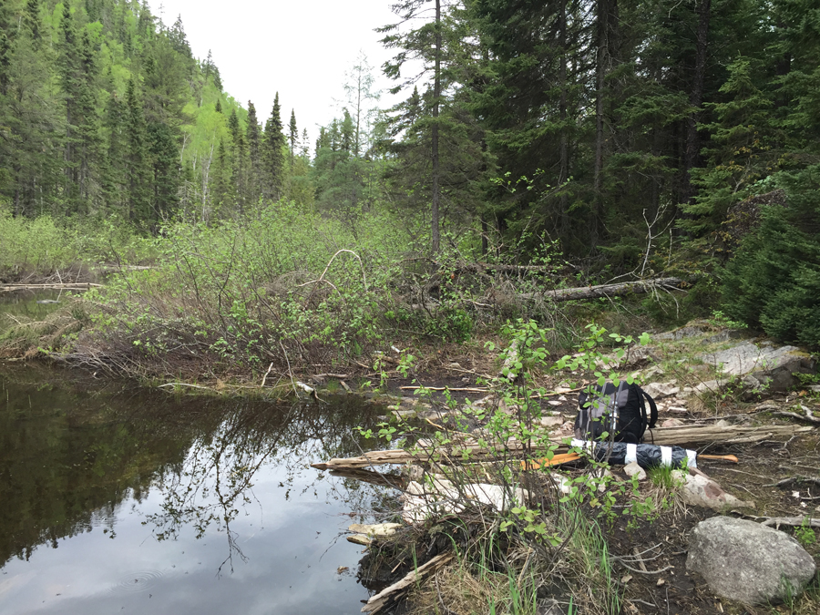 Cam Lake to Gasket Lake Portage 3