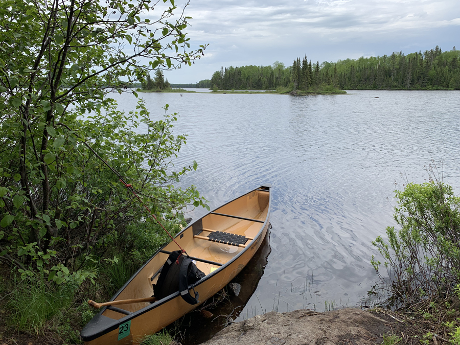 Homer Lake Campsite 1