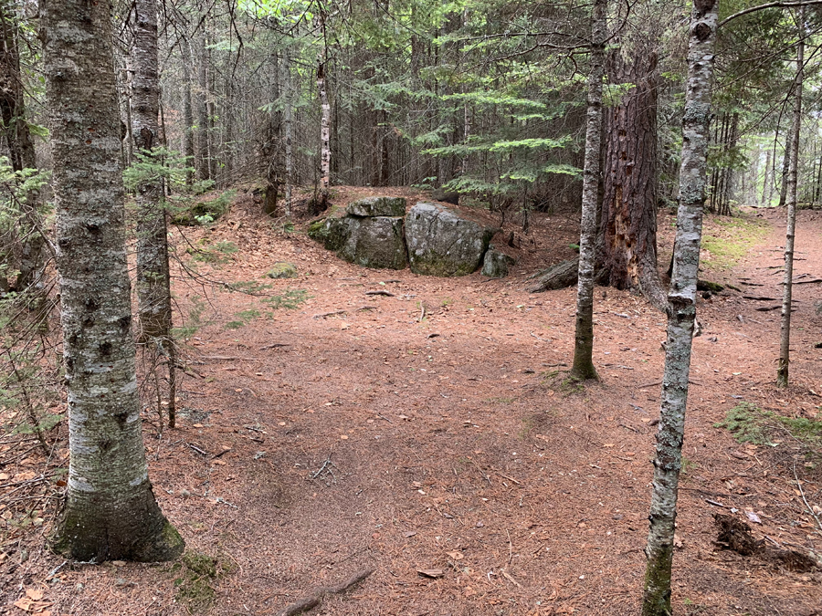 Homer Lake Campsite 6