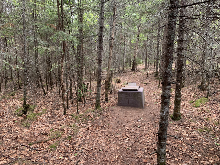 Homer Lake Campsite 7