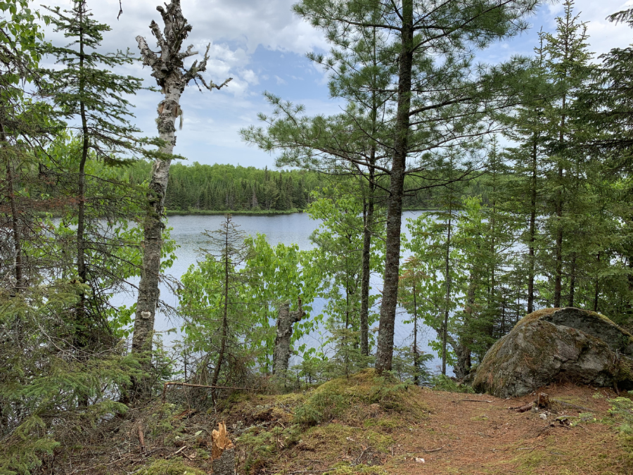 Homer Lake Campsite 8