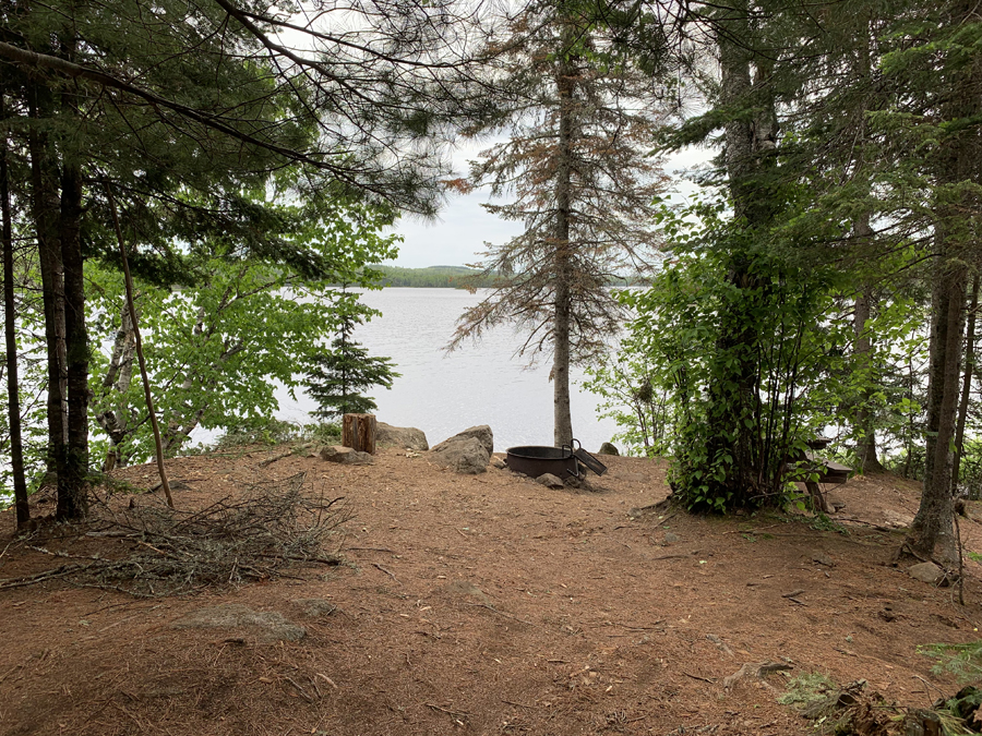 Homer Lake Campsite 9