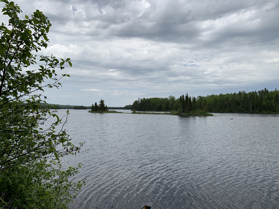 Homer Lake Campsite 11