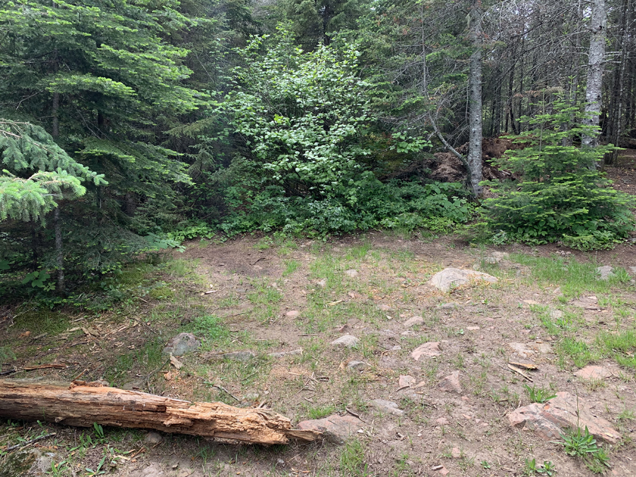 Homer Lake Campsite 3