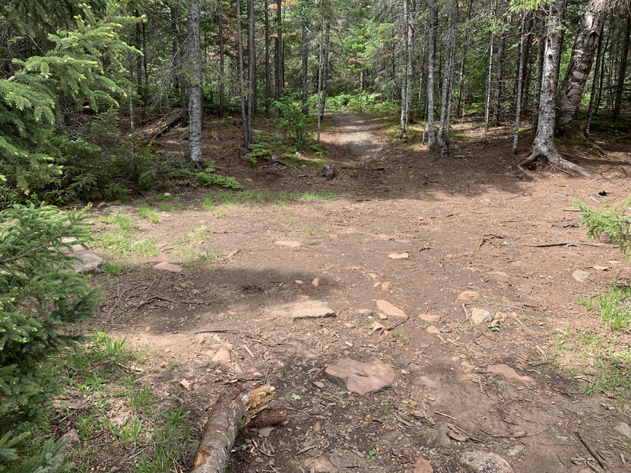 Homer Lake Campsite 4