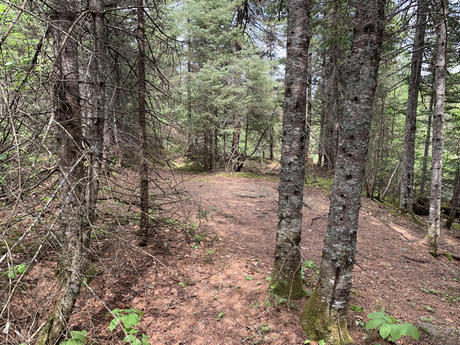 Homer Lake Campsite 5