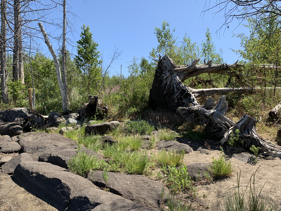 Lake Isabella Campsite 8