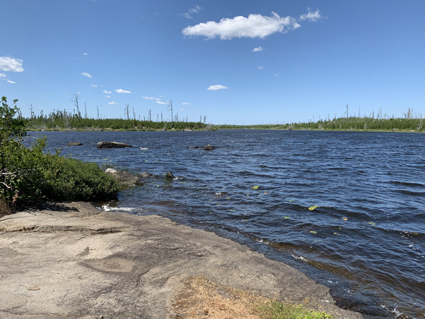 Isabella River Campsite 2