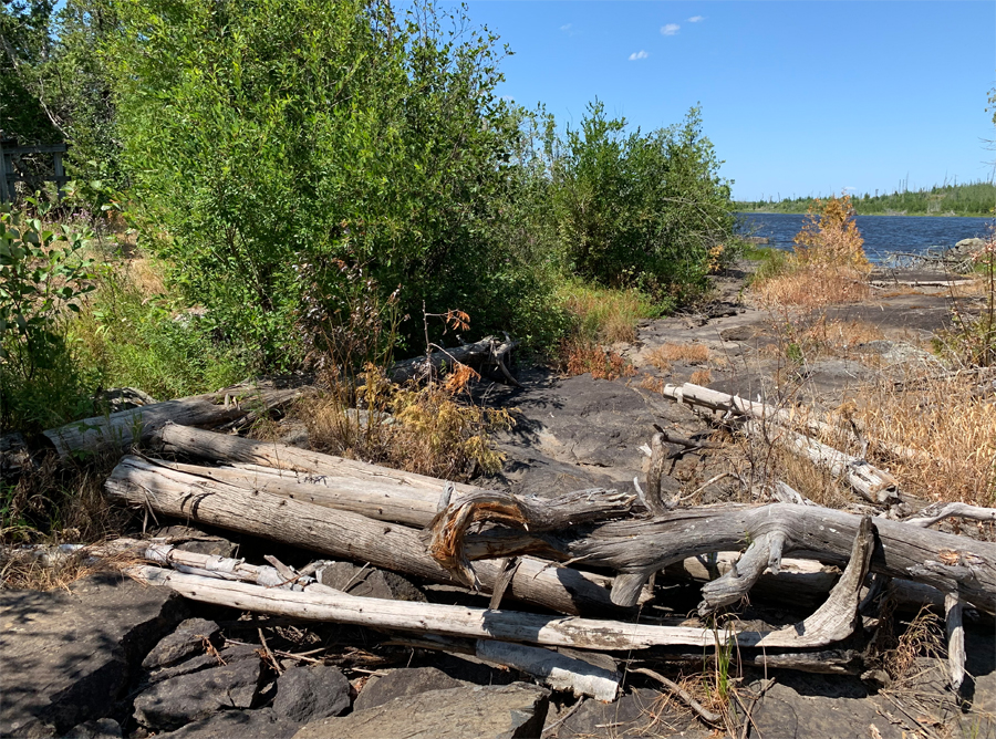 Isabella River Campsite 3