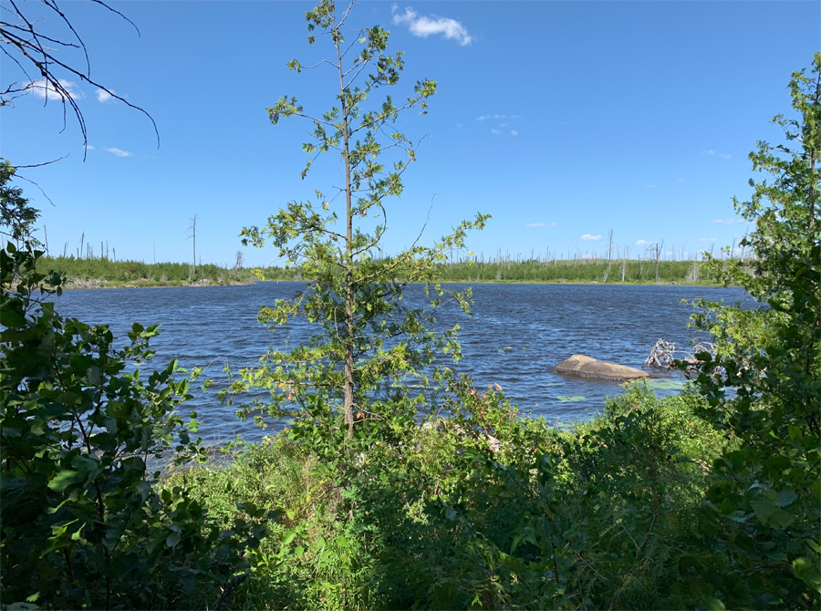 Isabella River Campsite 11