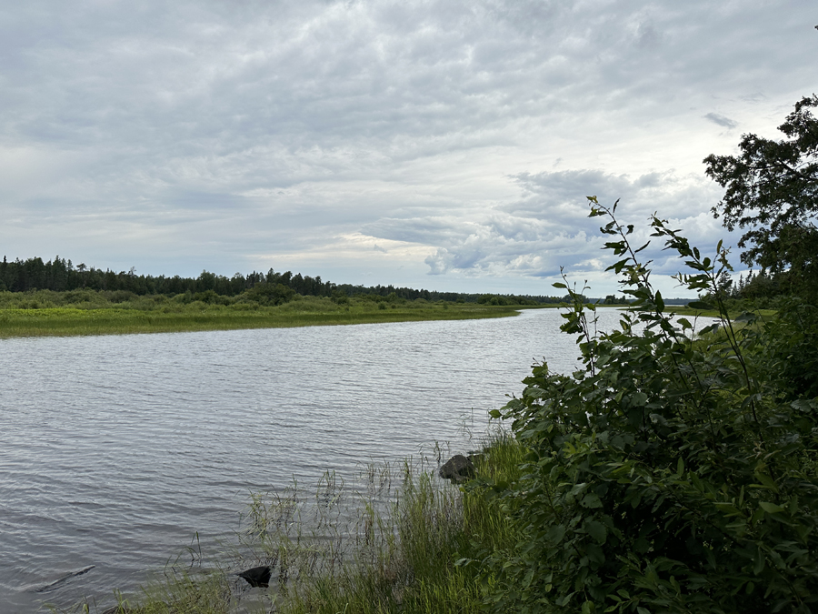 Isabella River Campsite 8A