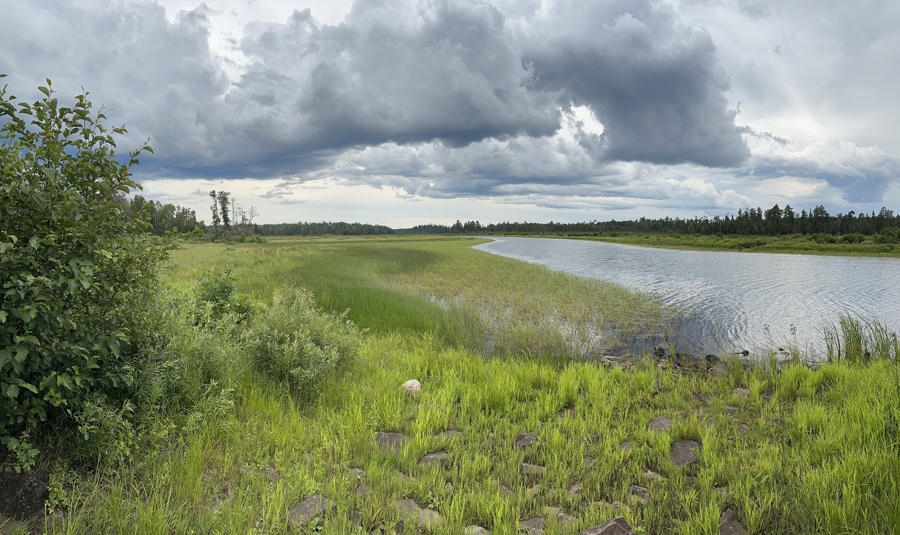 Isabella River Campsite 8