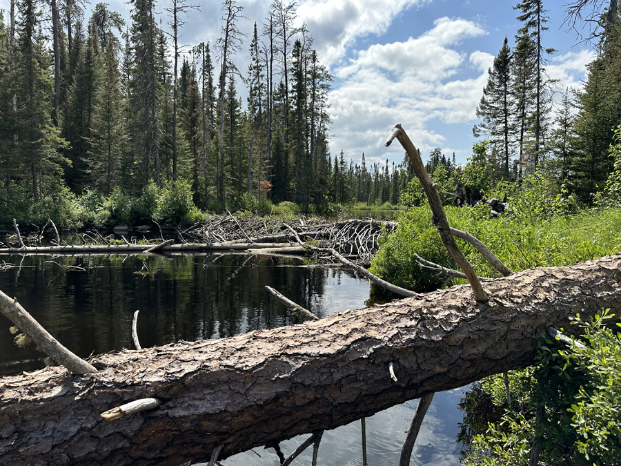 Java Creek BWCA 1